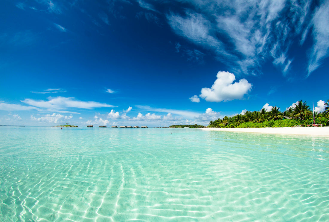 Where is Bikini Atoll and why is it called "Bikini Bottom"?