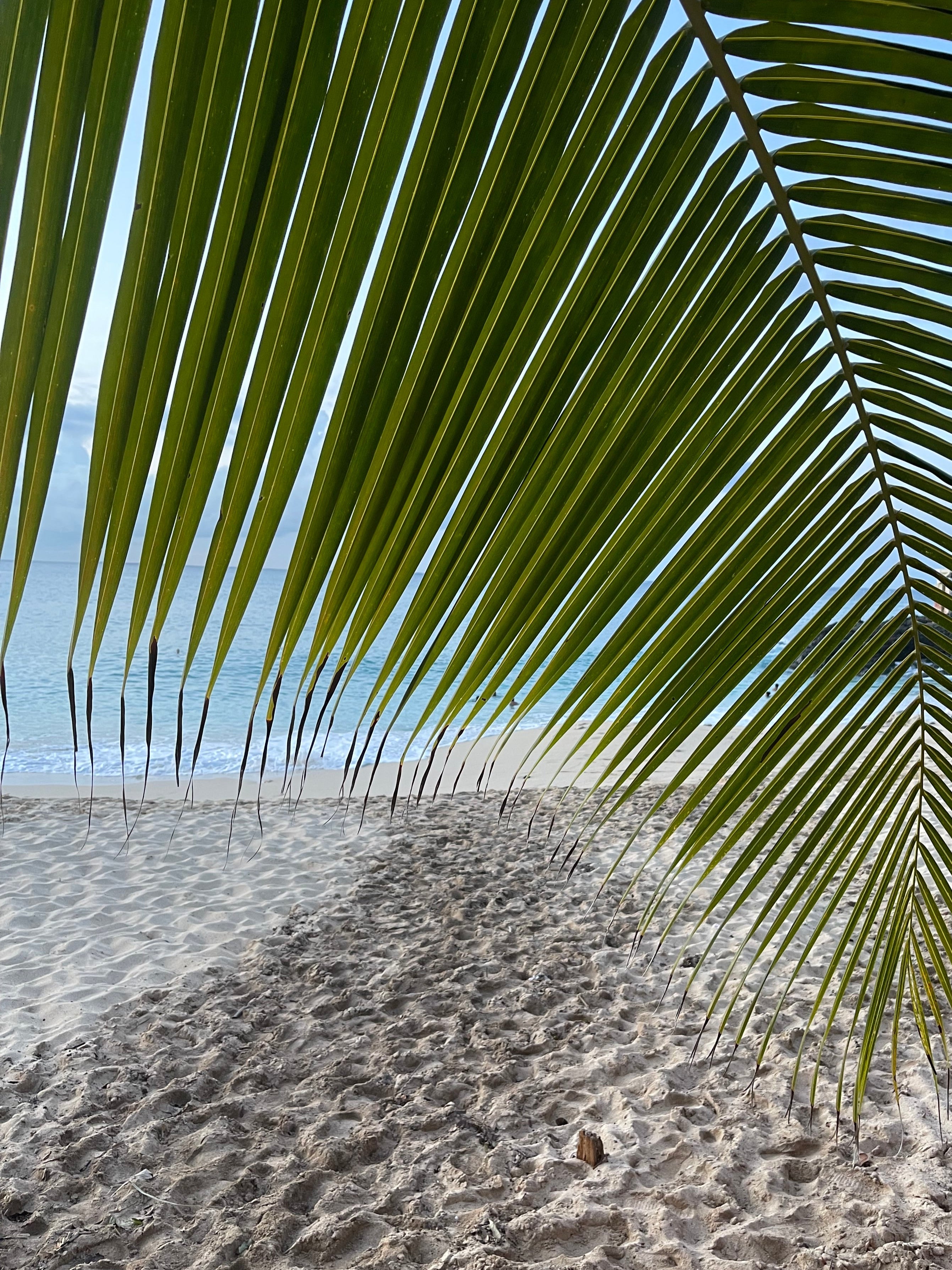 waves-paradise-landscape-vacation-bikini-sand--beautiful-sky-beach-palm-island